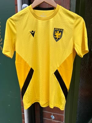 Image of Spirit of 58 Match Day Shirt in Yellow/Black 