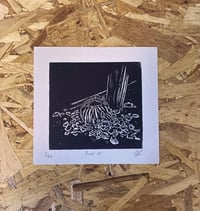 Image 1 of Umbra prints