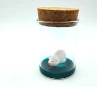 Image 3 of Baby Polar Bears 