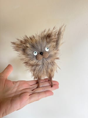 Image of Fluffy Wildcat #3