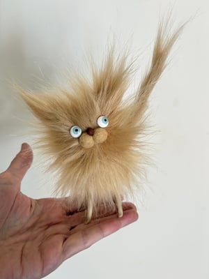 Image of Fluffy Wildcat #1