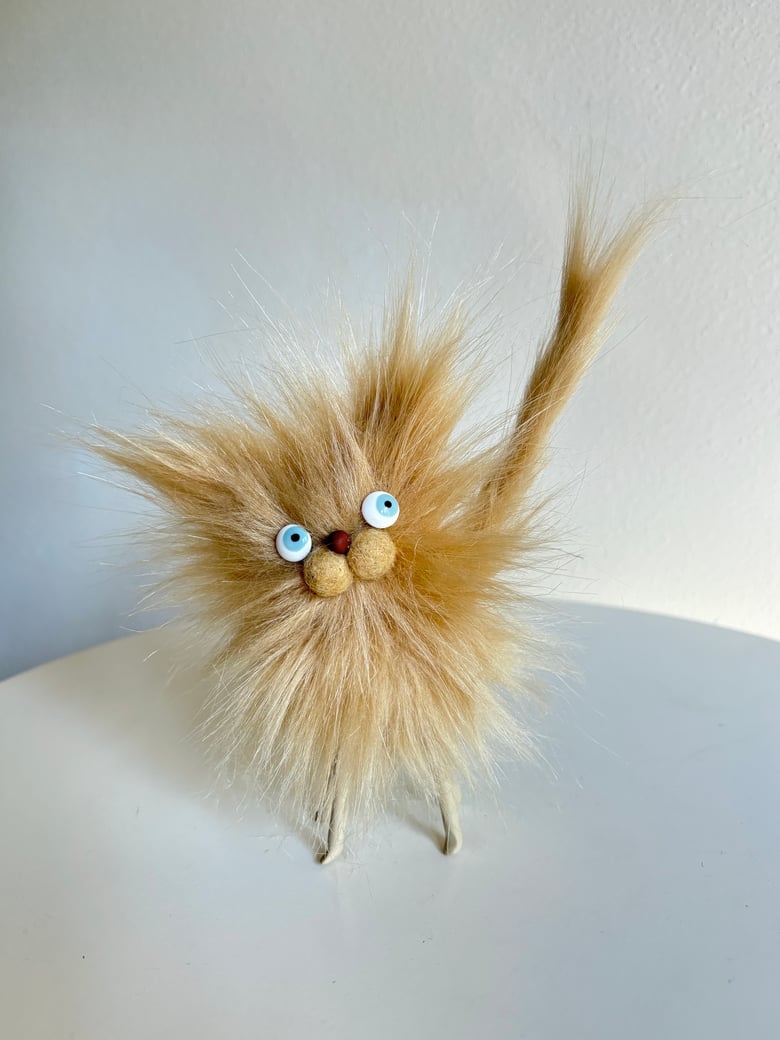 Image of Fluffy Wildcat #1