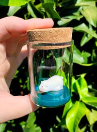 Image 2 of Baby Polar Bears 