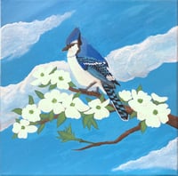 Blue Jay & Dogwood