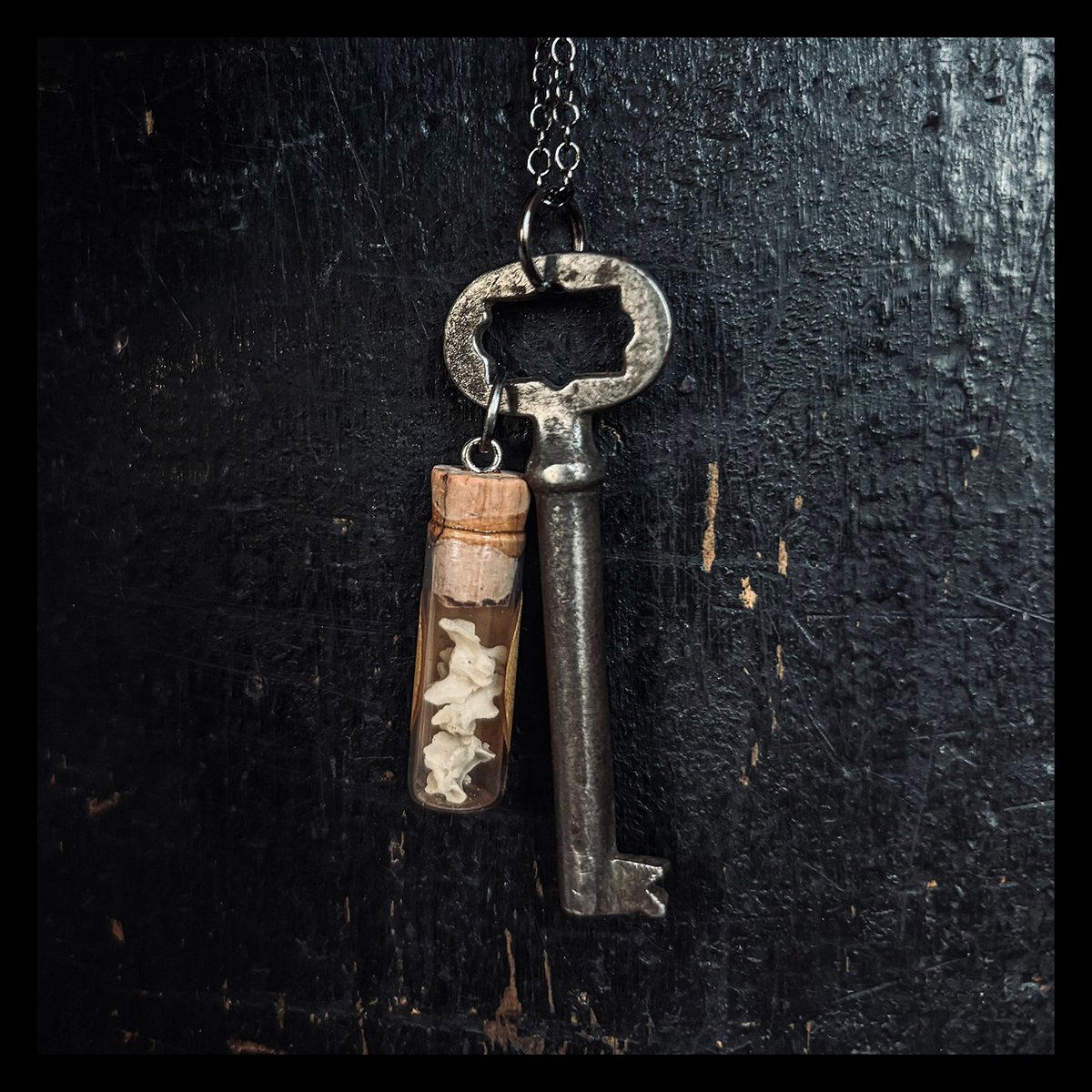 Key with rat vertebrae in vintage clock parts vial