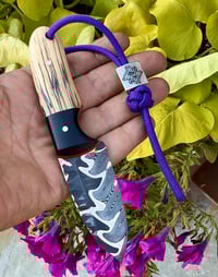 Image 3 of Fatboy Deluxe