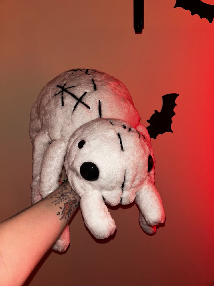 Image of Snow spider gibbie