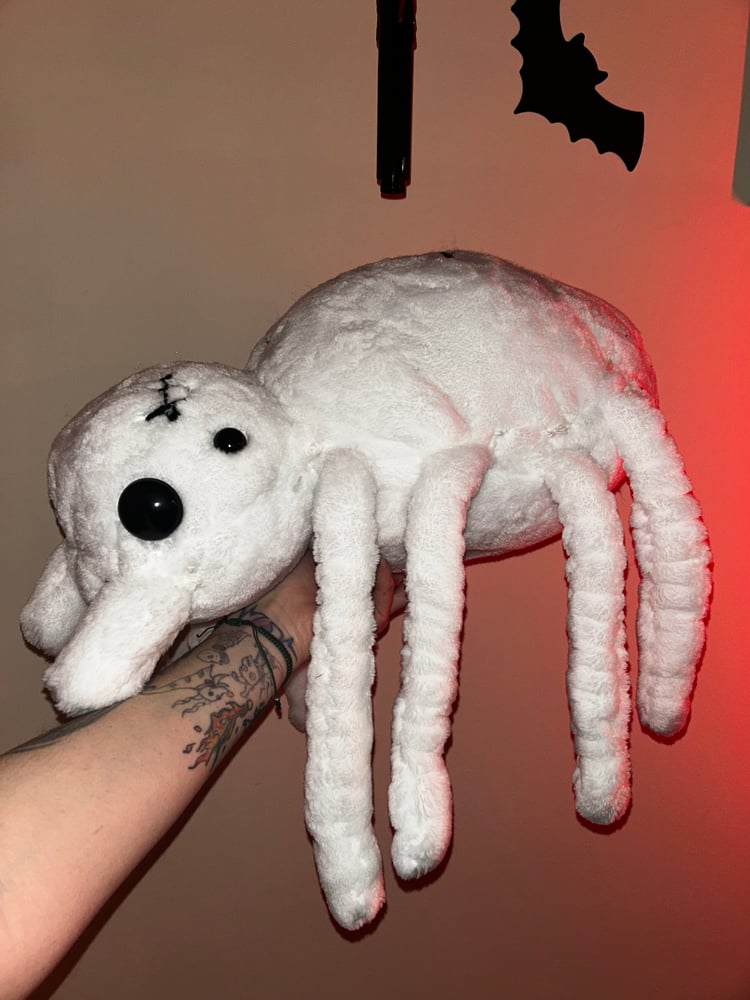 Image of Snow spider gibbie