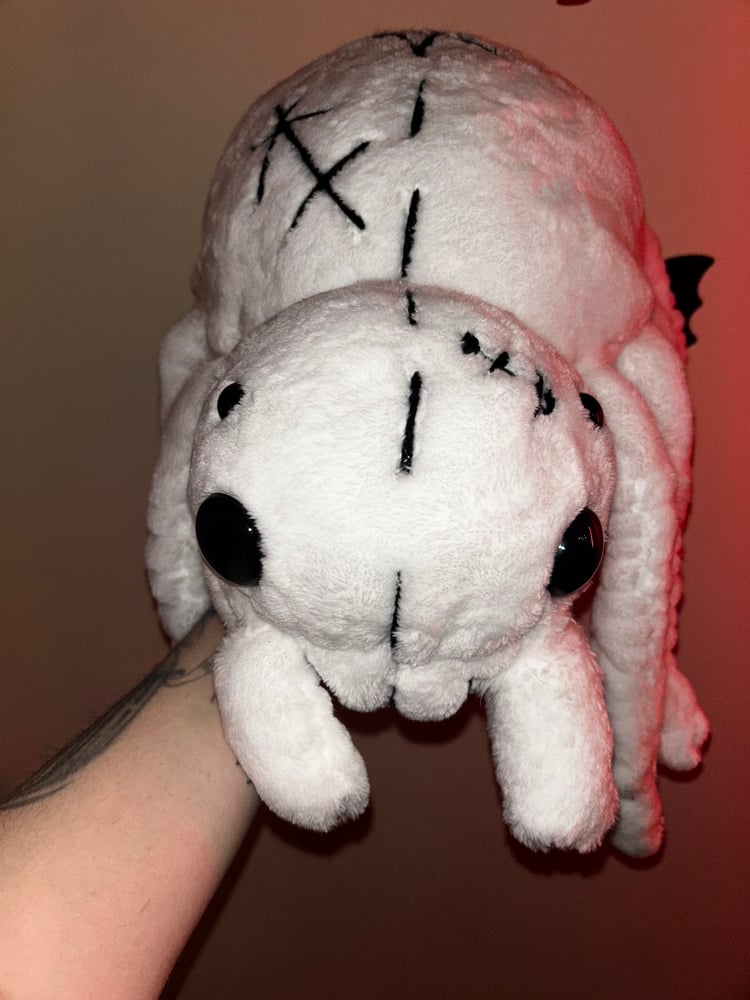 Image of Snow spider gibbie