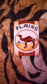 Image 2 of PLAINS - Camel