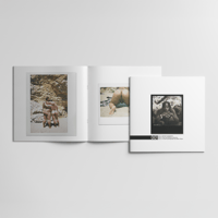 Image 2 of INSTANT MOMENTS