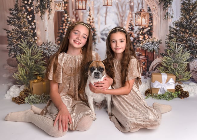 CHRISTMAS MINI SESSION 2025