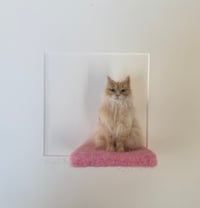 Image 2 of Commission Sample Puss