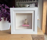 Image 1 of Commission Sample Puss