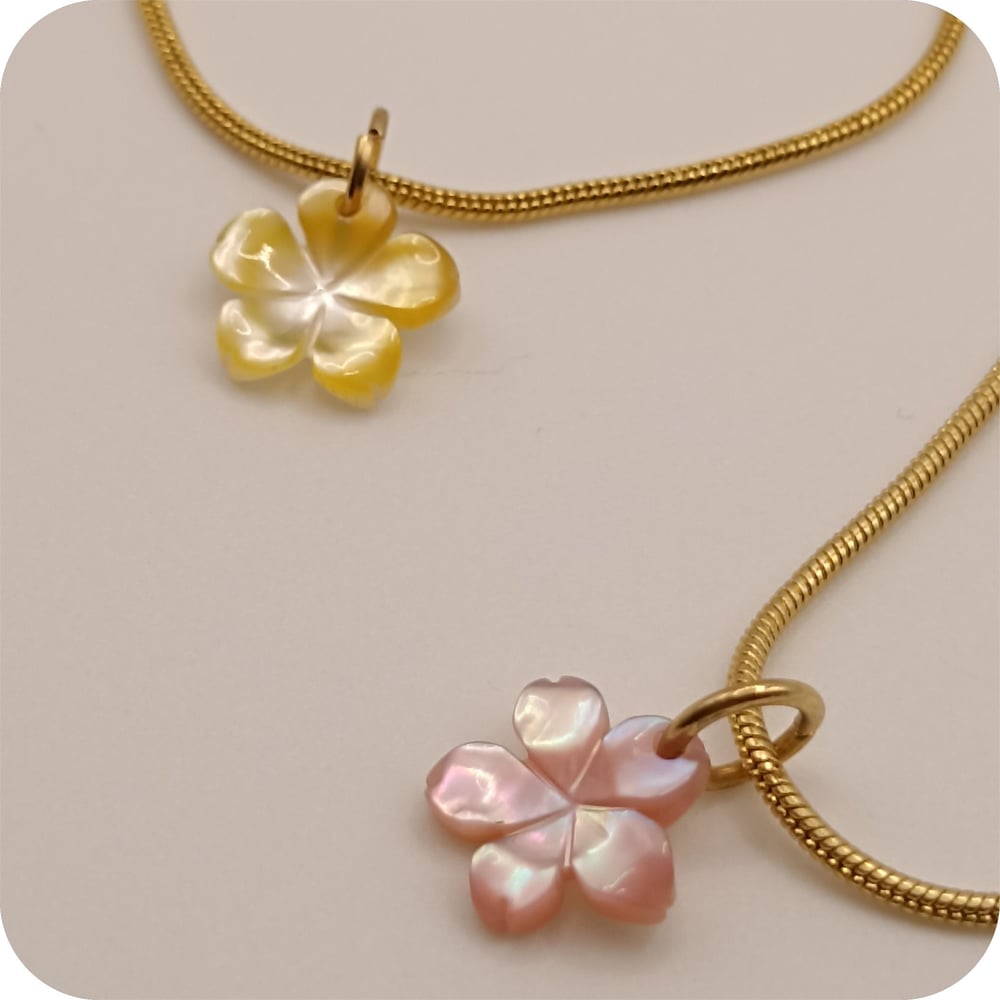 Image of COLLAR MERIAN - antes 36€