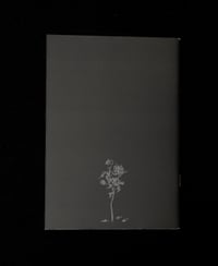 Image 2 of The Fading Room Zine