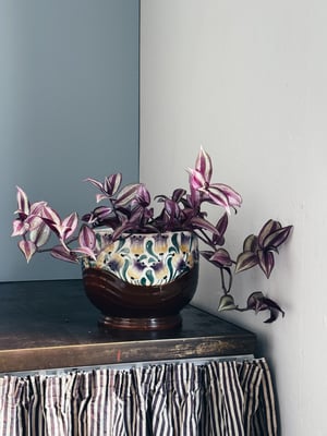 Majolica potte _brun