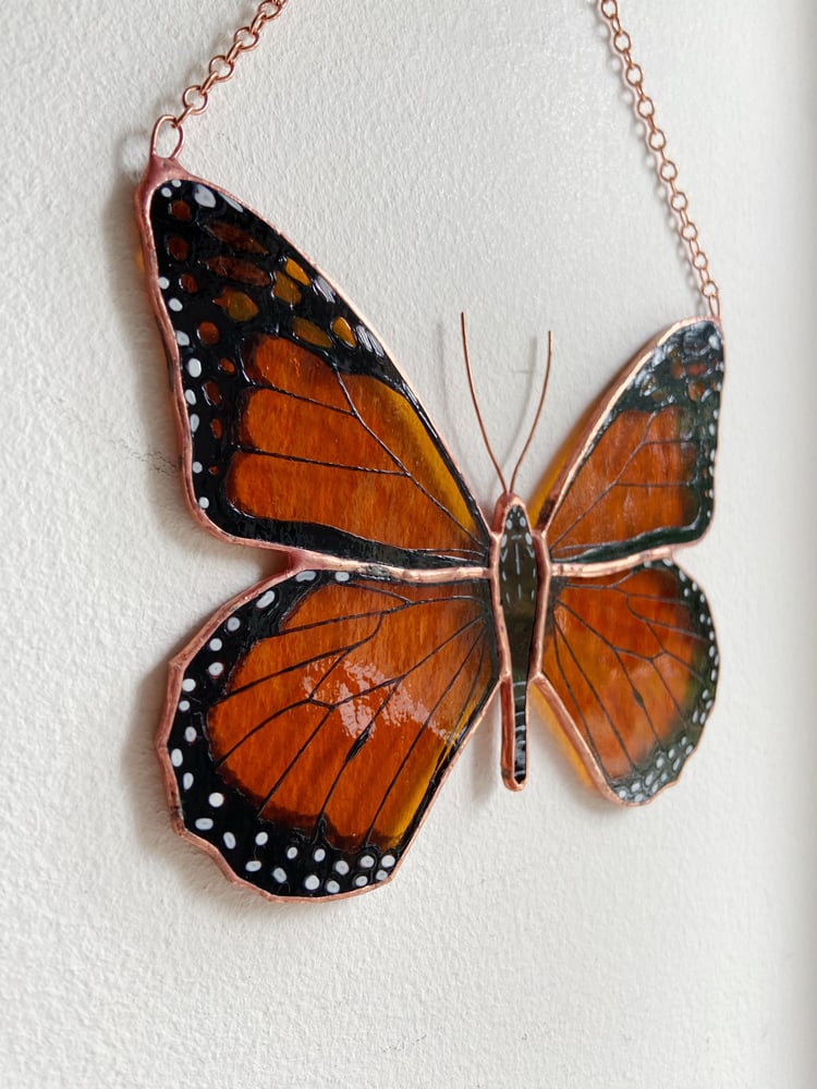 Image of Hobbit Day Monarch Butterfly