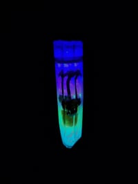 Image 2 of Mini - Whimsy Glow Pendant 003