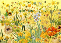 Yellow, 2024