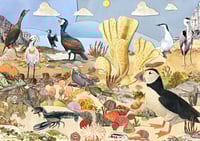 Sea Birds, 2024