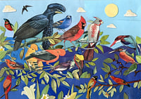 Blue Birds, 2024