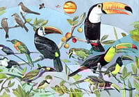 Toucan, 2024