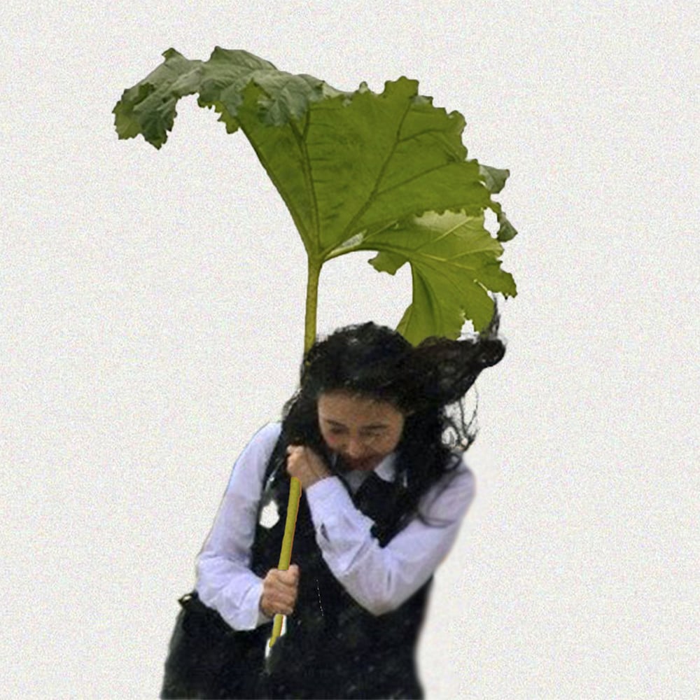 Image of 조한성 (ohboi) - 날씨병 (Weather Syndrome) EP