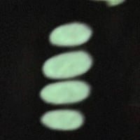 Image 21 of Quick, Berry The Body