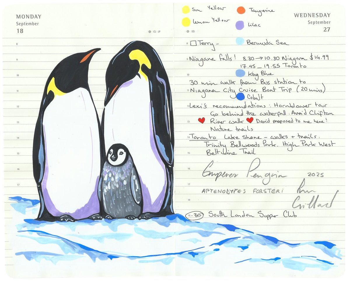 Image of An Admiration