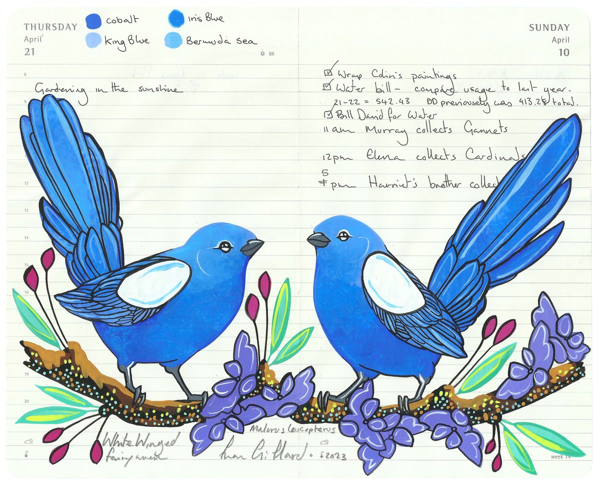 Image of An Admiration