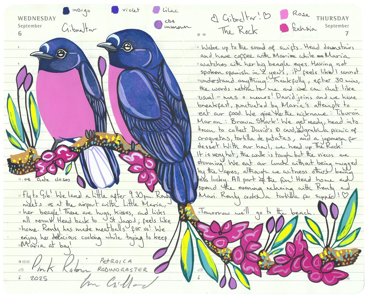 Image of An Admiration