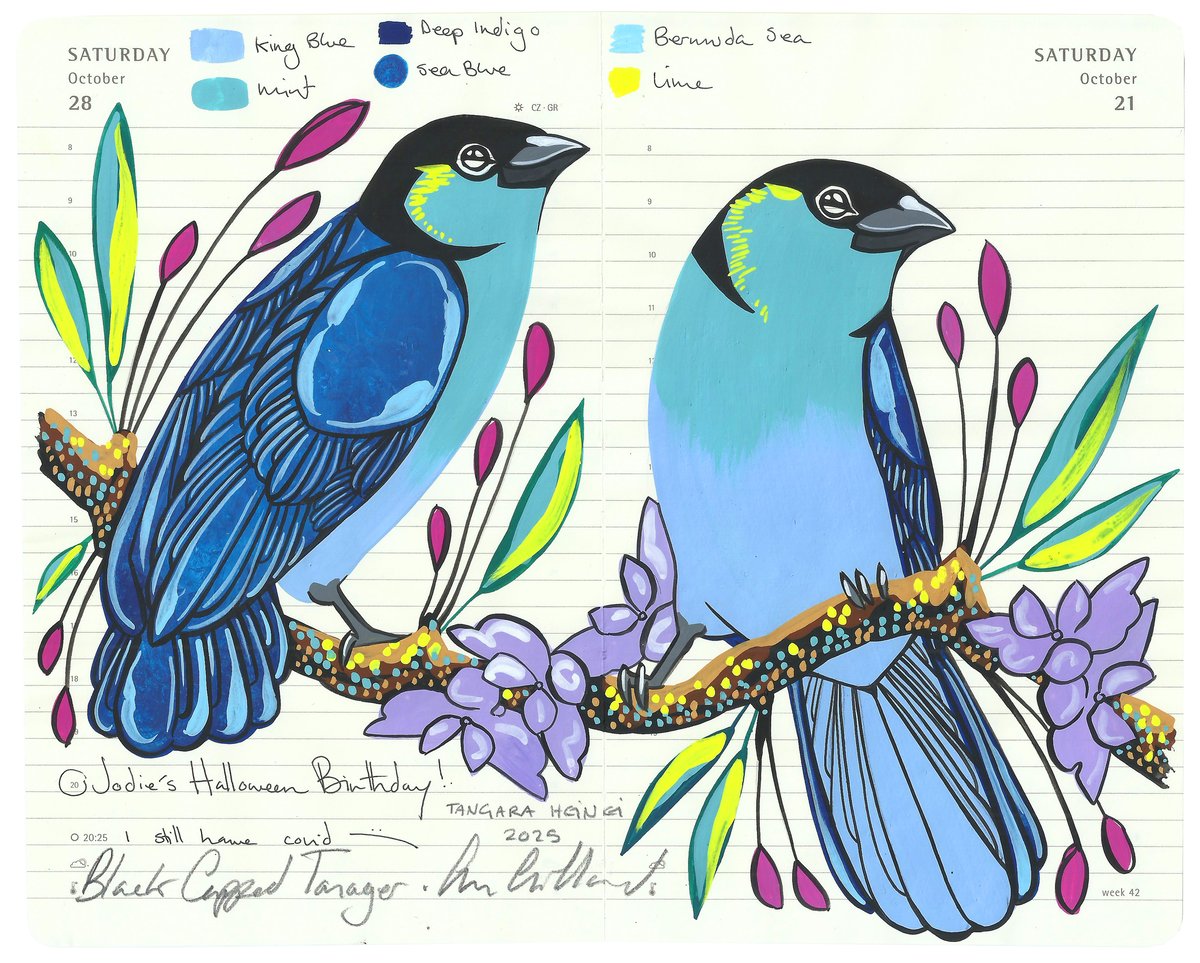 Image of An Admiration