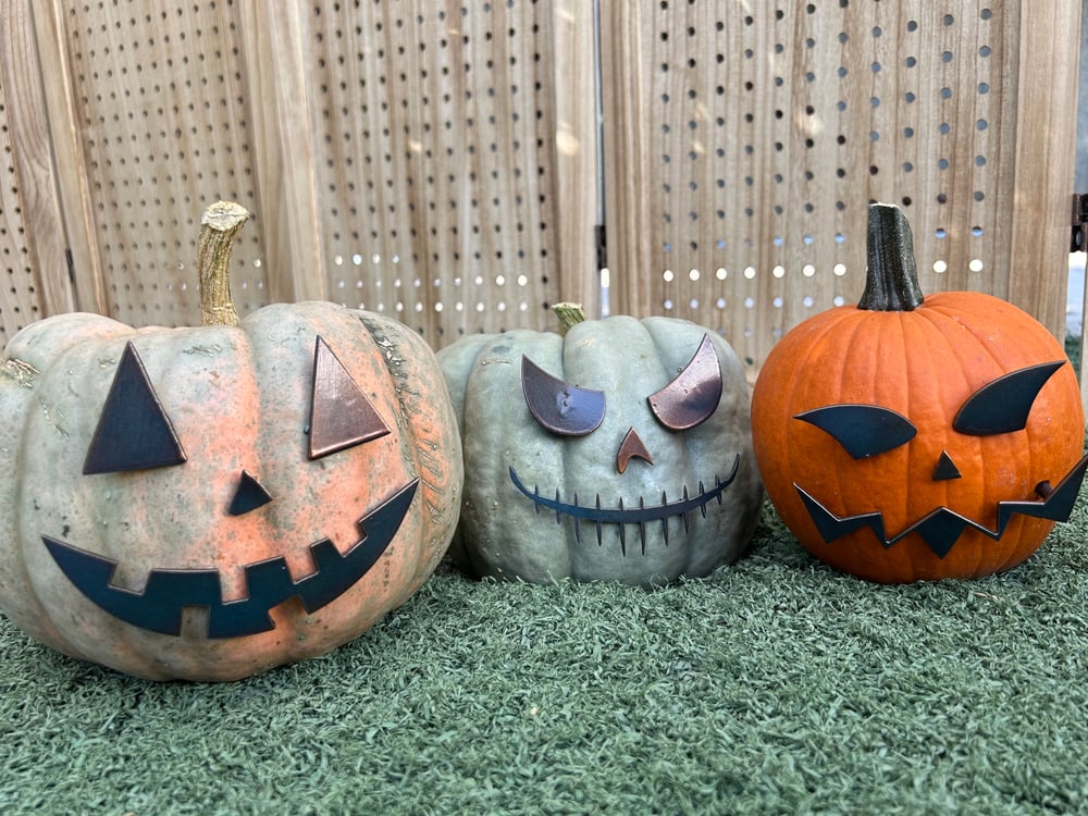 Image of Pumpkin Face Stake Sets