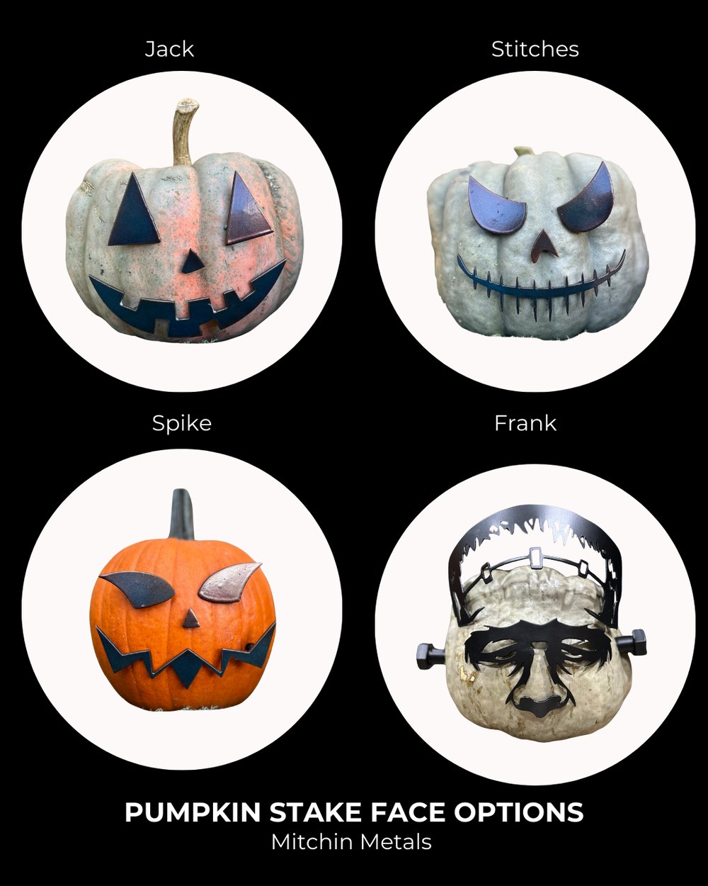 Image of Pumpkin Face Stake Sets