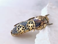 Image 4 of Black Cicada Brooch – Gothic Bug Pin, Handmade Brass Insect Jewelry