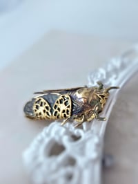 Image 5 of Black Cicada Brooch – Gothic Bug Pin, Handmade Brass Insect Jewelry