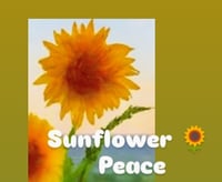 Sunflower Peace 0.67 ft oz