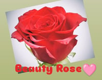 Beauty Rose 0.67. ft oz 