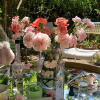 Image 2 of In-Person Oracle Reading — 90 Min