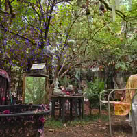 Image 4 of In-Person Oracle Reading — 90 Min