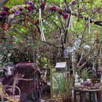 Image 5 of In-Person Oracle Reading — 90 Min