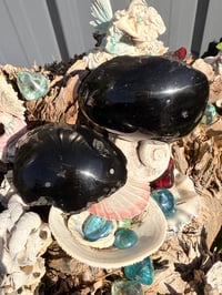 Image 1 of Agni Manitie or PEARL OF DEVINE FIRE 