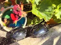 Image 3 of Agni Manitie or PEARL OF DEVINE FIRE 