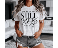 Image 2 of I know by your still waters shirt 