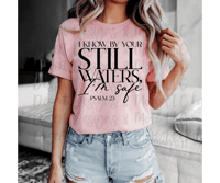 Image 3 of I know by your still waters shirt 