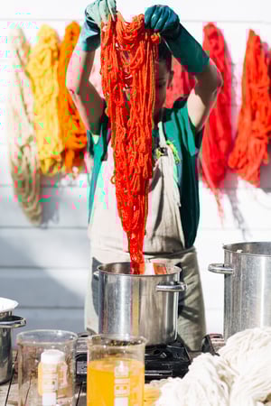 Image of Natural dye workshop - December