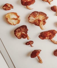 Image 3 of Tender Gatherings - Shiitake Mushrooms  on Hahnemühle Pearl 