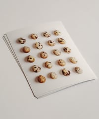 Image 2 of Tender Gatherings - Quail Eggs  on Hahnemühle Pearl 