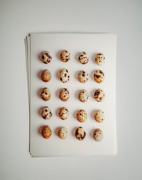 Image 4 of Tender Gatherings - Quail Eggs  on Hahnemühle Pearl 